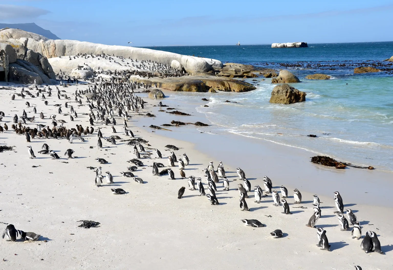 Luxury villa accommodation in Simon’s Town, 3 minute walk to Boulders Beach